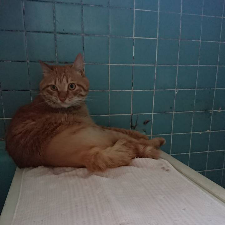 Ac373ff2 ec73 4d9f ba73 ab8b72ae08c1 1657360929906