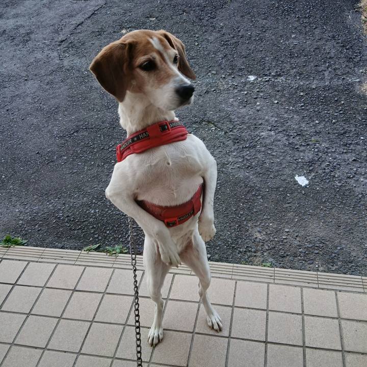 Ac374e4d c232 4516 8cad 0b4d197442fc 1764763356545