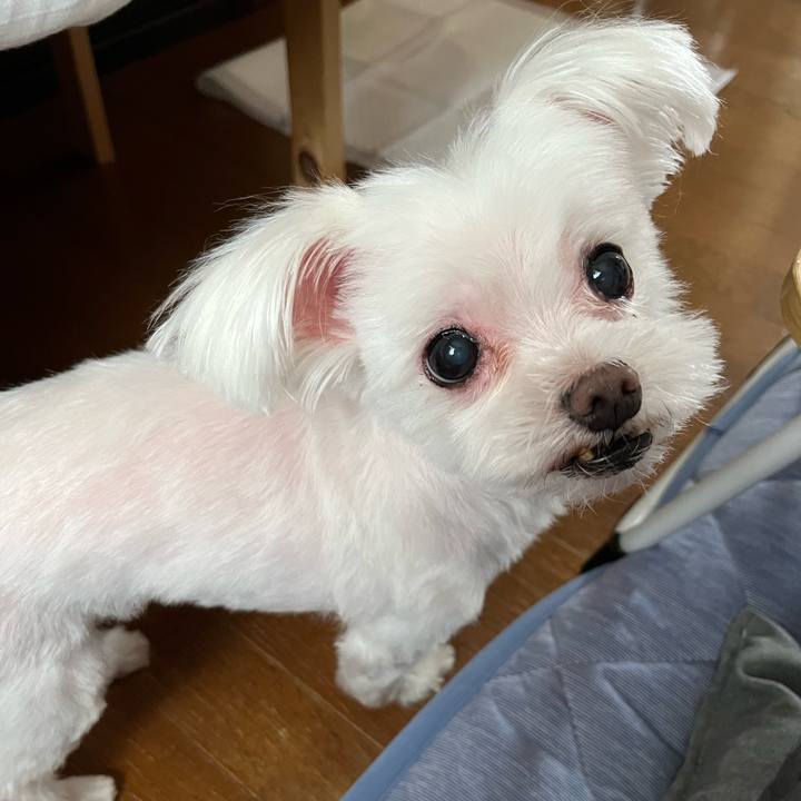 Ac375436 fd52 411d 99fa 6b0266b031e2 1753134100412