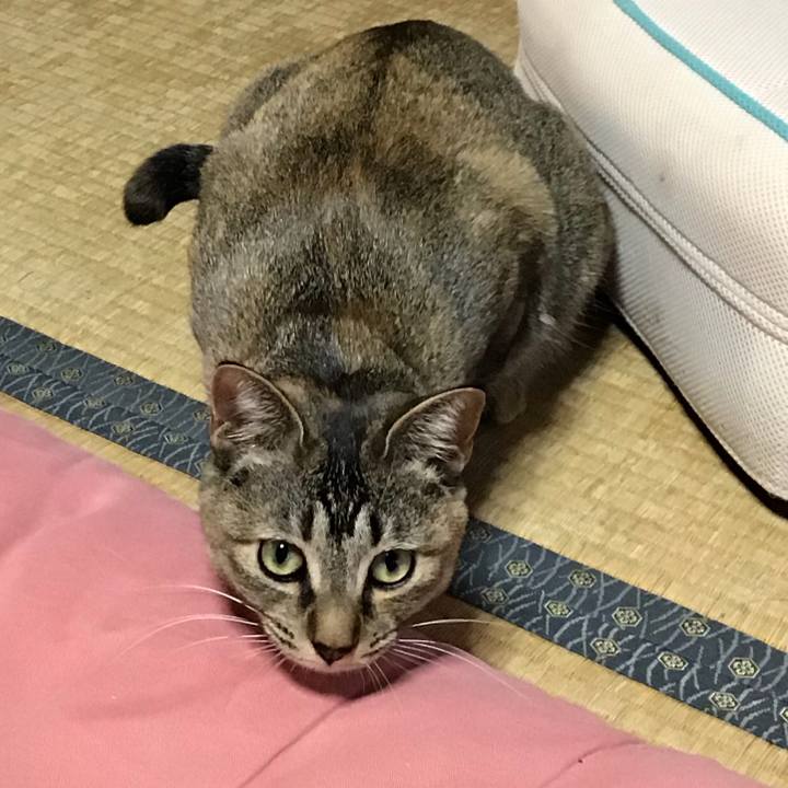 Ac3756ea ad95 4824 8374 157522e40ea6 1582272519242