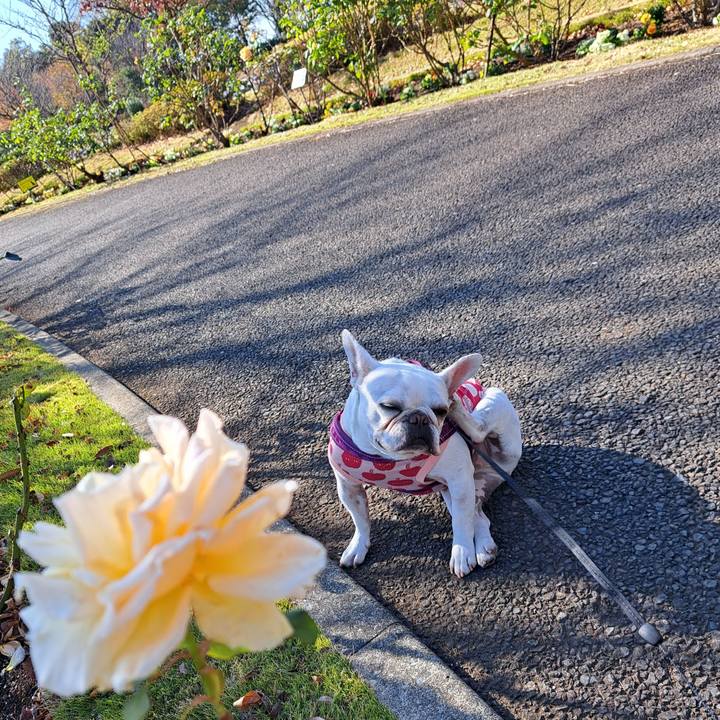 Ac37713a dae0 4fbf b2cd e7ae7ca217b0 1701226196890