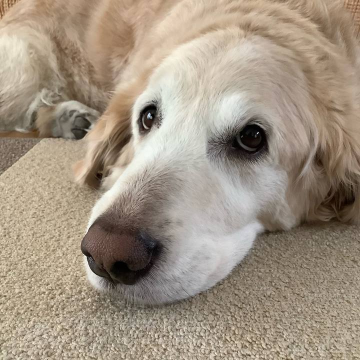 Ac37ab31 922c 4e51 8892 178ff708aa05 1650926963068