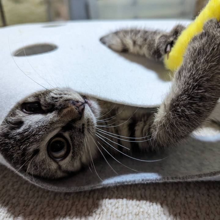 Ac37db6a 6e82 4687 a5d8 45626e7a370b 1700538604935