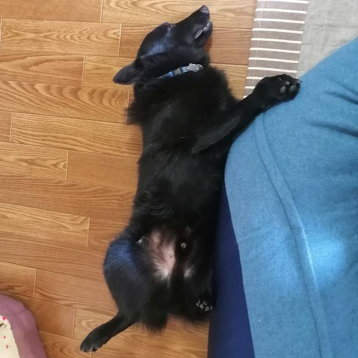 Ac3812a0 243f 43f9 a742 927da0e50038 1619315578900