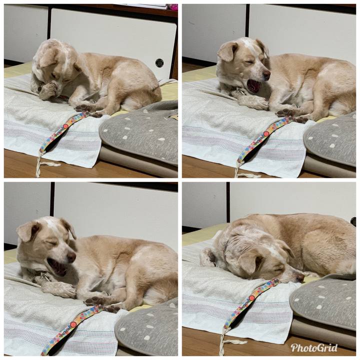 Ac3817b8 69b5 4a59 bd47 0f956f3d1f34 1549897190305