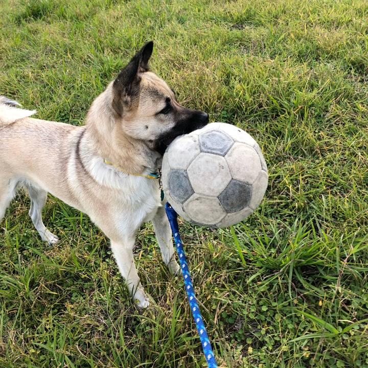 Ac38373c 829d 4d66 bd31 bf93bc7400cd 1541231672313