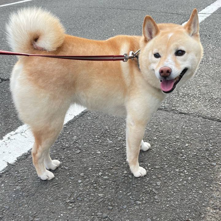 Ac383c10 5959 4d50 aef6 5f964cd8cc99 1658146455999