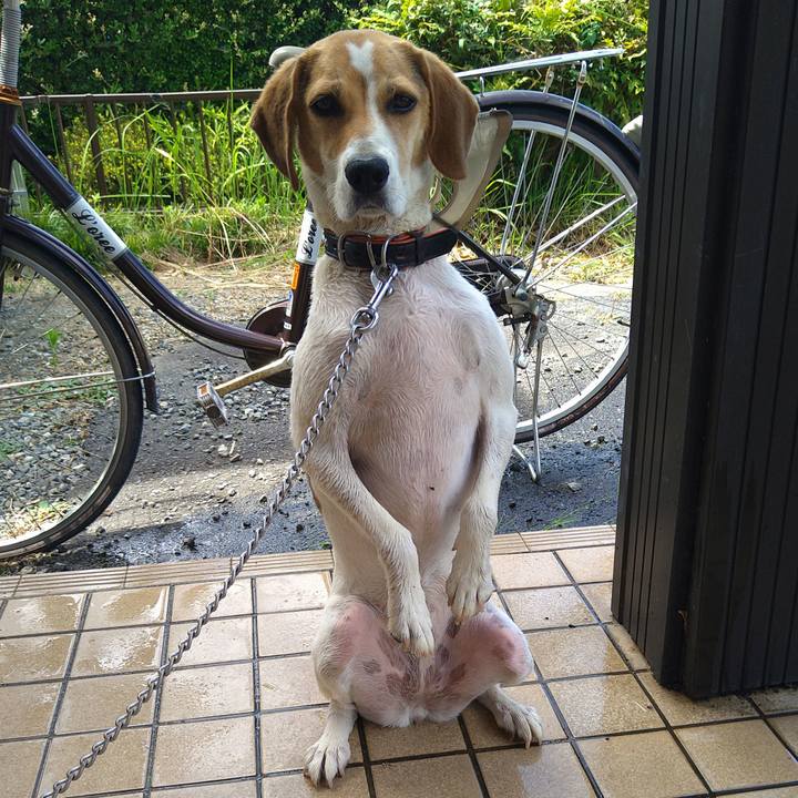 Ac3840db 85a5 428b 8e17 a2d7a1963c3f 1627453677491