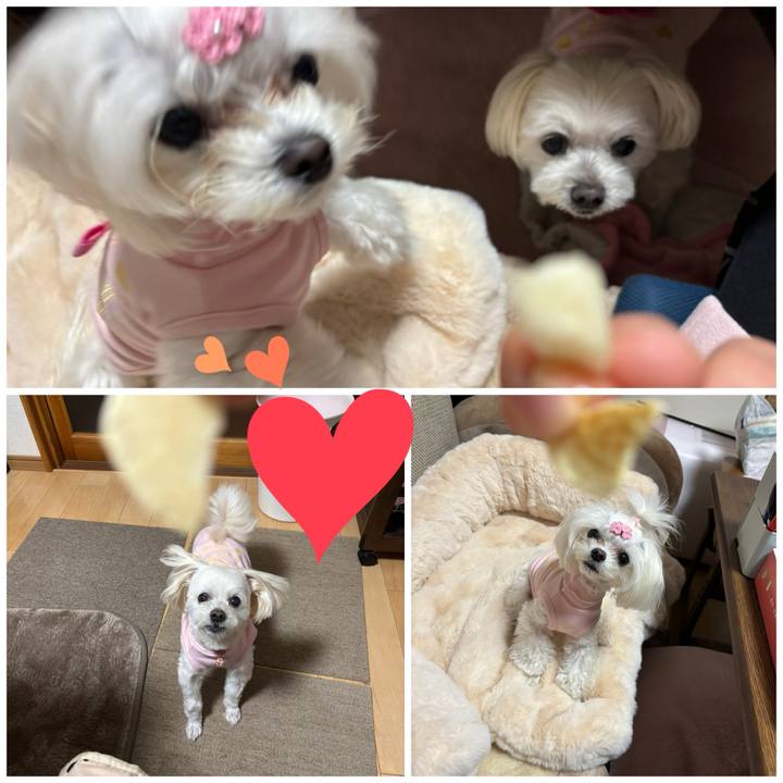 Ac3841ea 97d7 4990 a208 2b16200db972 1740903608335