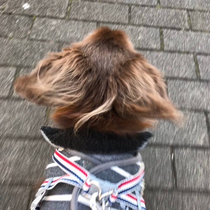 Ac386668 9d3b 46e0 bbfe 1d891c059efd 1543659274722