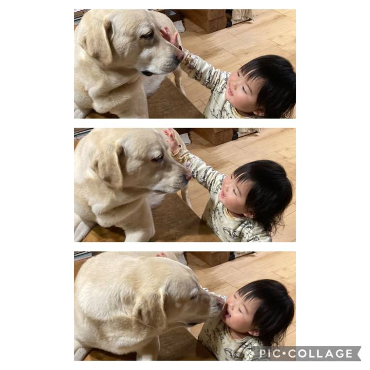 Ac388133 8b81 4568 be2c 7180fb82d2af 1677481173603