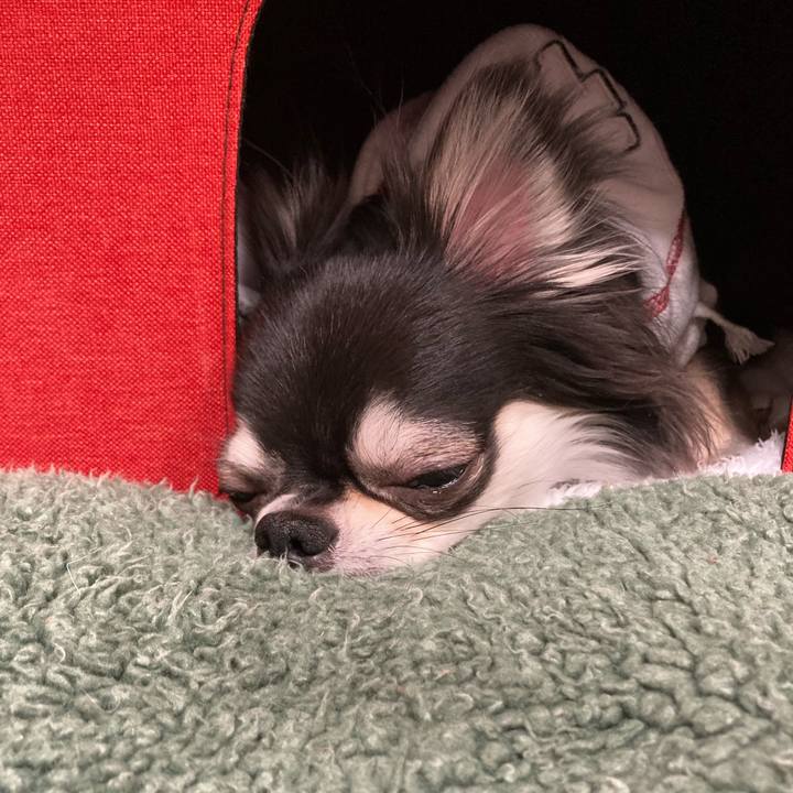 Ac3886ec 3463 423a 95fe 2bd4098c4a26 1645278857512