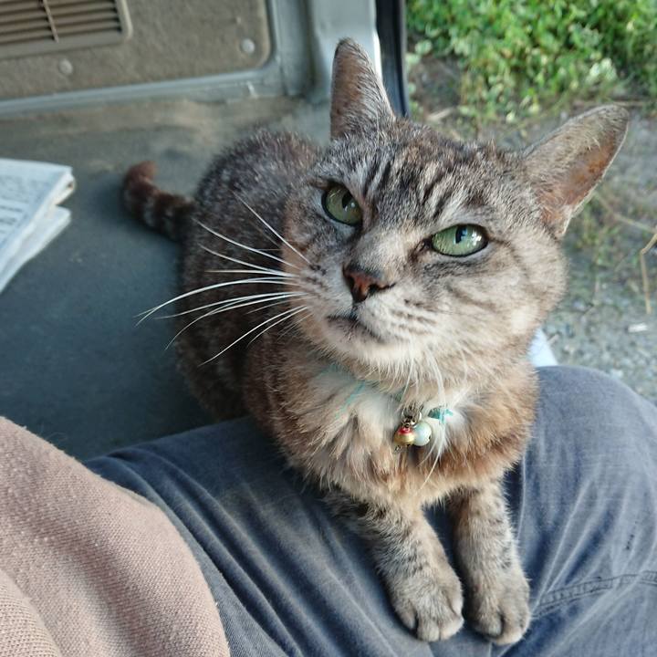 Ac388846 9156 4f94 8b45 bd067ccf694b 1569359619006