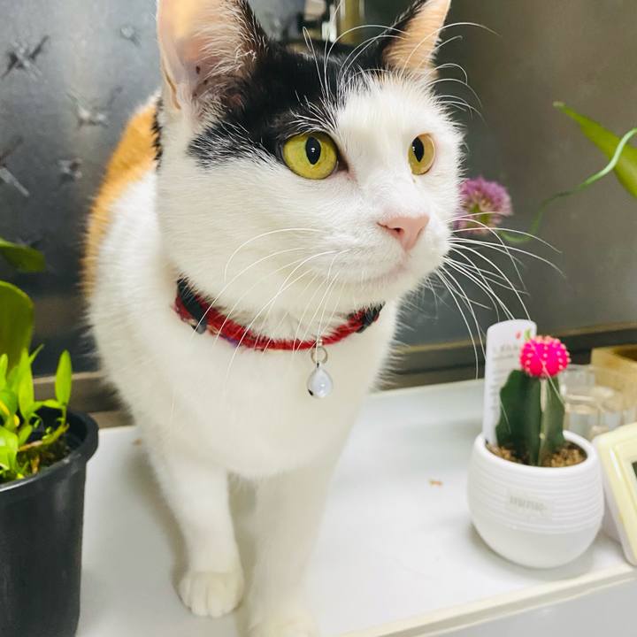 Ac388d2f 593f 45ac 9107 1a129a76d983 1678011251176