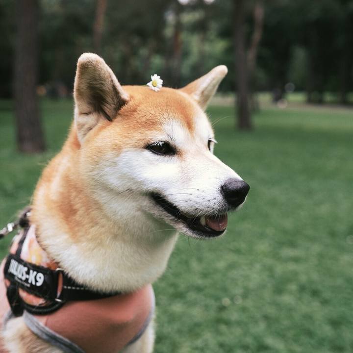 Ac38d87f 6e60 4703 890d e1024df589b5 1532331107523