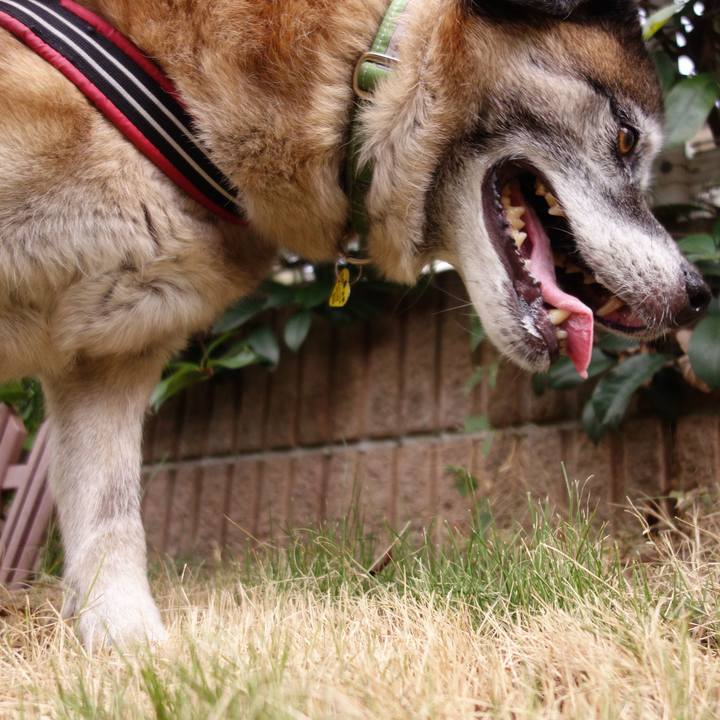 Ac38f980 eebd 4423 a798 85f6143f771c 1565480123756