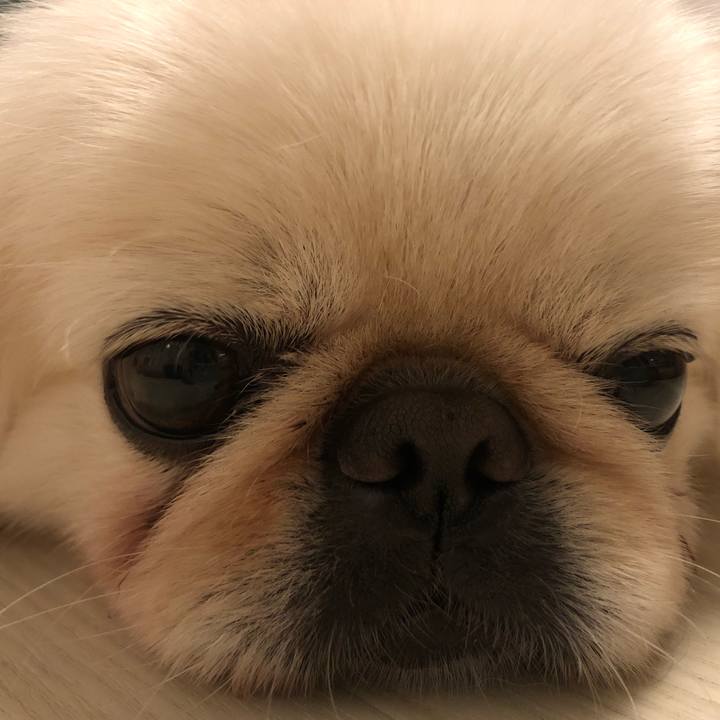 Ac3937d1 de99 4719 be61 3f6cd117761e 1532692913885