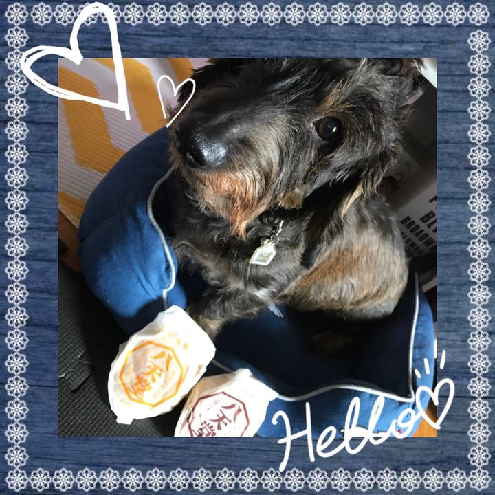 Ac39545f 0992 4712 a969 71ca73d5d215 1508049747449