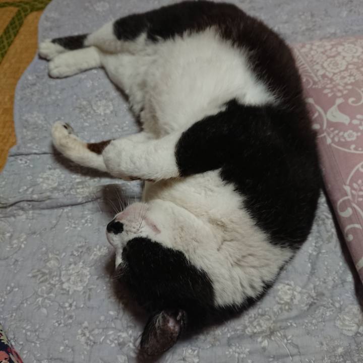 Ac39f38e 0451 4b15 90e2 e9e3a6617a6b 1652529279123