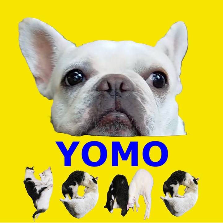 Ac3a1c2b da77 4e42 b2c9 e5456c212584 1667514957686