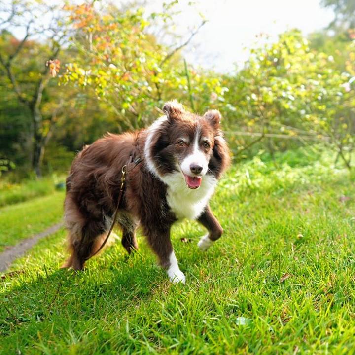 Ac3a3fc1 141a 48d4 91bd a2b0af3d1095 1760537805351