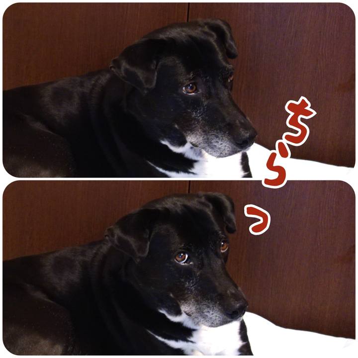 Ac3a594e a213 4c27 a0bd ae3467d94dc5 1720570278953