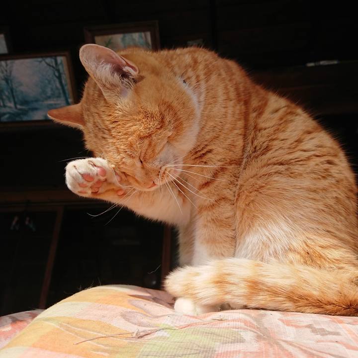 Ac3a6040 2401 469a aa22 e96e38662fea 1581396989624