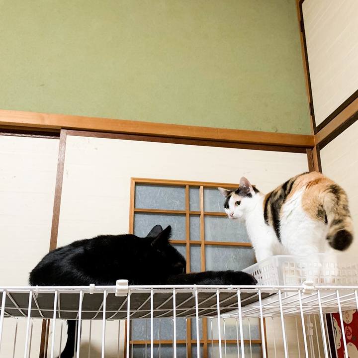 Ac3a6a6b 901a 4133 8bc6 6170b310dbea 1567993959889