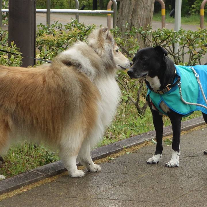 Ac3a83e2 bbb1 45b7 9dcd 0a993e40a874 1682815340250