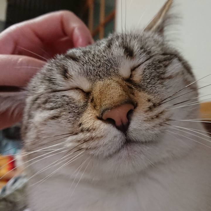 Ac3a8fe1 924e 4439 98a1 6cf0645af282 1588254062389