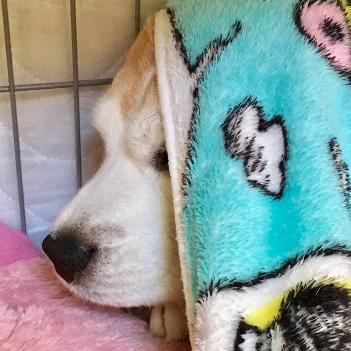 Ac3abb29 e0ce 4d3d ac37 50c25a352d66 1554003800791