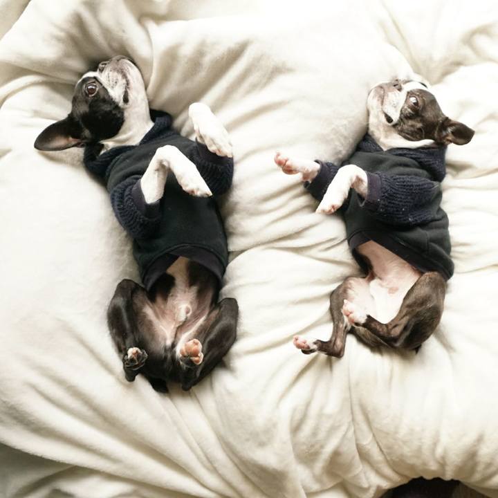 Ac3ac916 9835 4fca 959e f387f86b086e 1511237623733