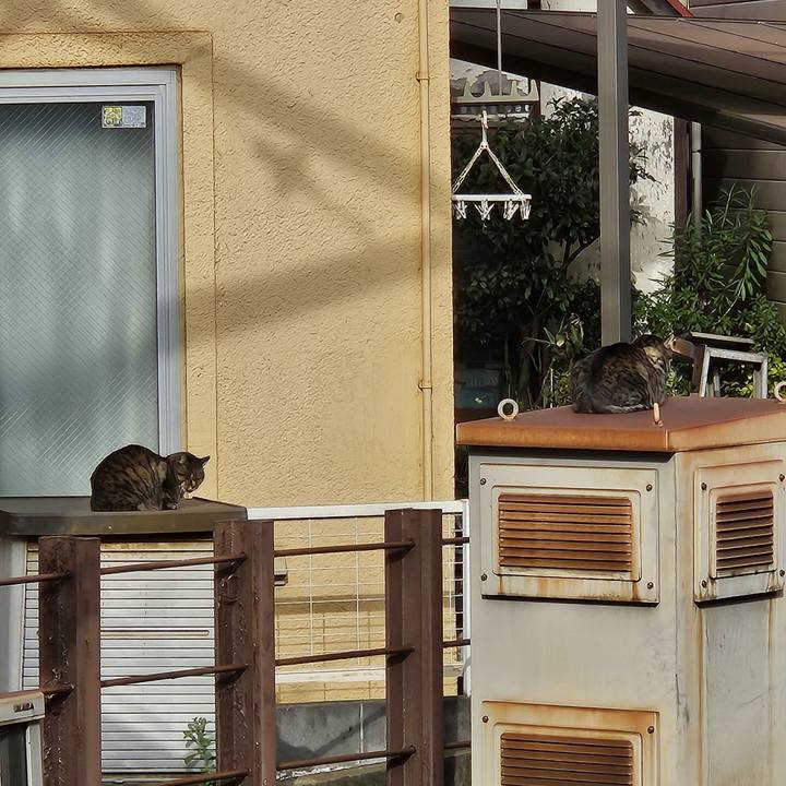 Ac3ad7f4 7305 4fb8 8c57 b8b5db092998 1703470071785