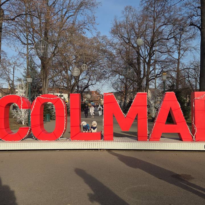 Ac3ae5a6 2d61 4efd 97f5 983eaf0526b0 1767285104589