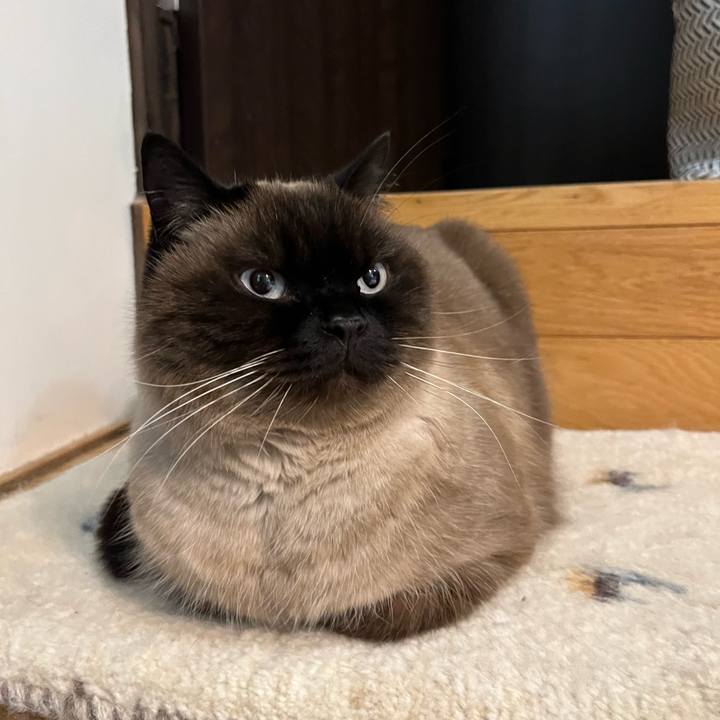 Ac3aed6a 2948 4296 9b86 8edd328b0bb1 1707312247202