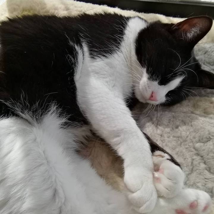 Ac3aee87 1def 483c 8e1e 20231ccea8d8 1601987872713