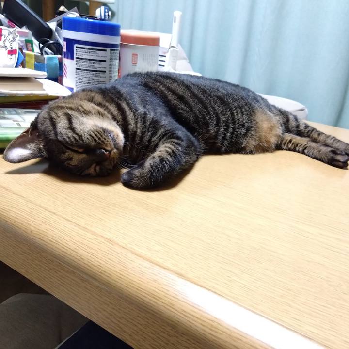 Ac3b2e74 4e10 42f2 b633 a373e93256c3 1759242652319