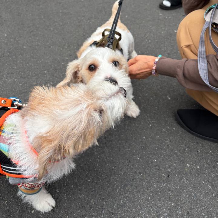 Ac3b417d 37e3 4d36 9372 6d875fa0fb4b 1759788314400