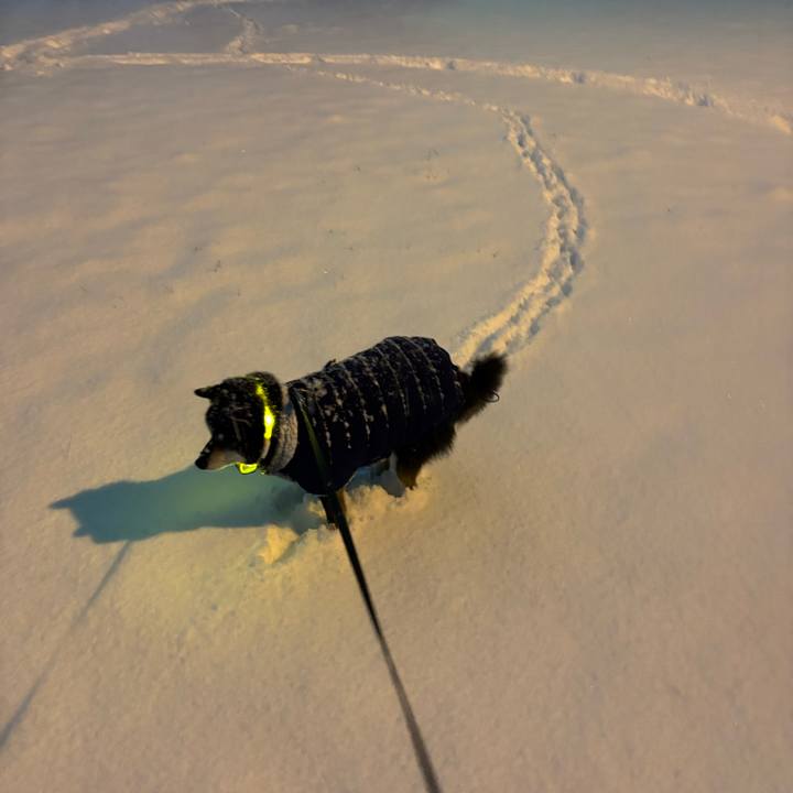 Ac3b581c 268d 4c0b 8dfd ff1ccb5ec267 1764821280667