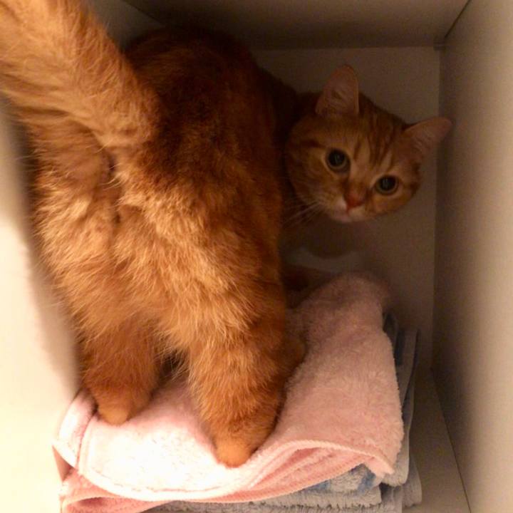 Ac3b6dec 2021 4a48 b2fe cf51a7c3a8a2 1525562537111