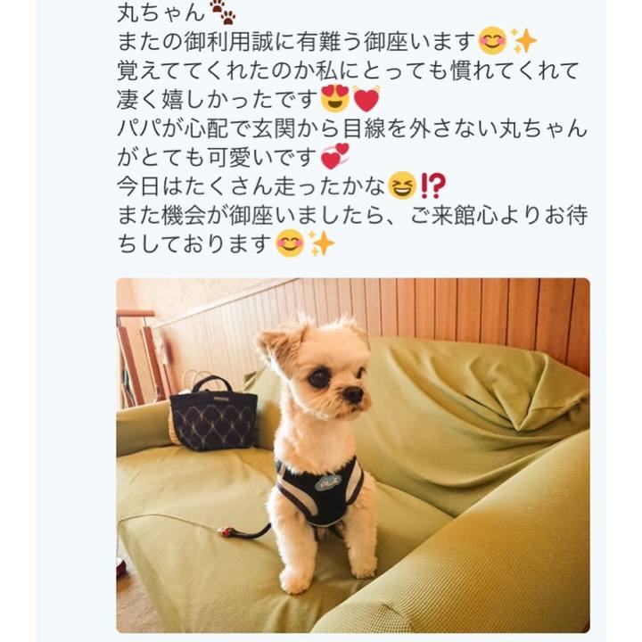 Ac3bd23d 10ff 4da1 b3ec afe1a4672ca8 1560753631957