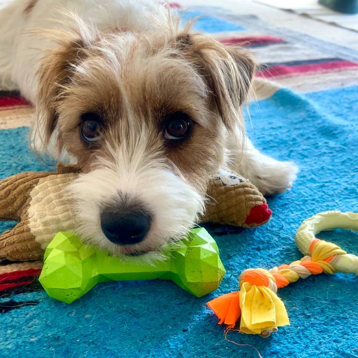 Ac3be99a ef95 407c 954e 87c83dc41dd7 1769905679062