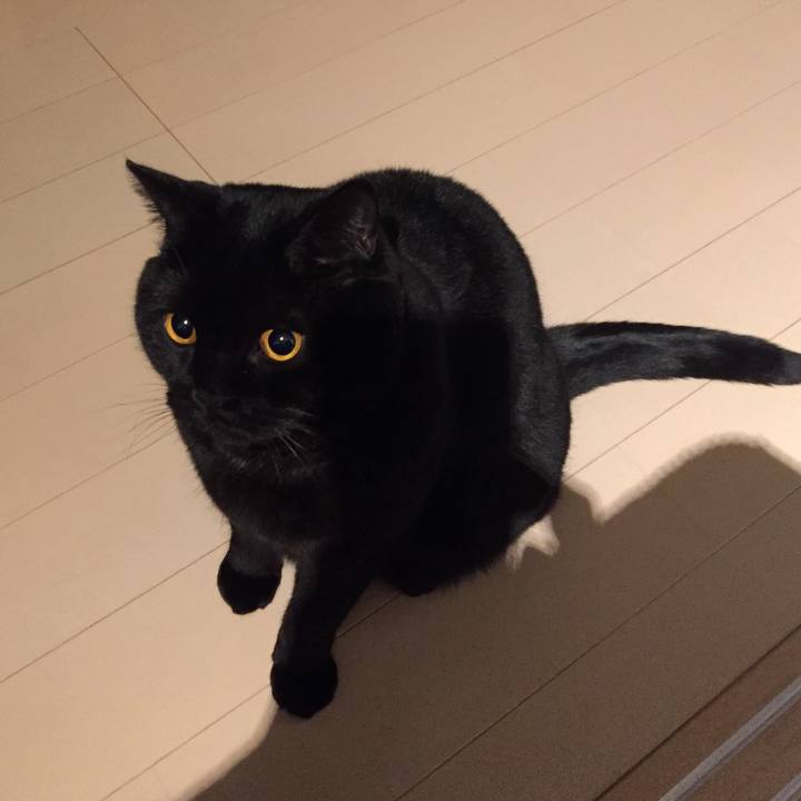 Ac3c0aaa d59b 41b9 9885 fce28b8e8273 1585053574636