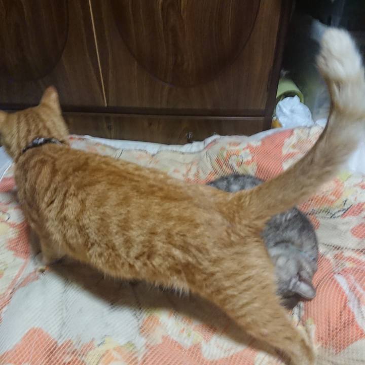 Ac3c5a56 a346 4f04 b783 1f31af52d8fd 1572265263894