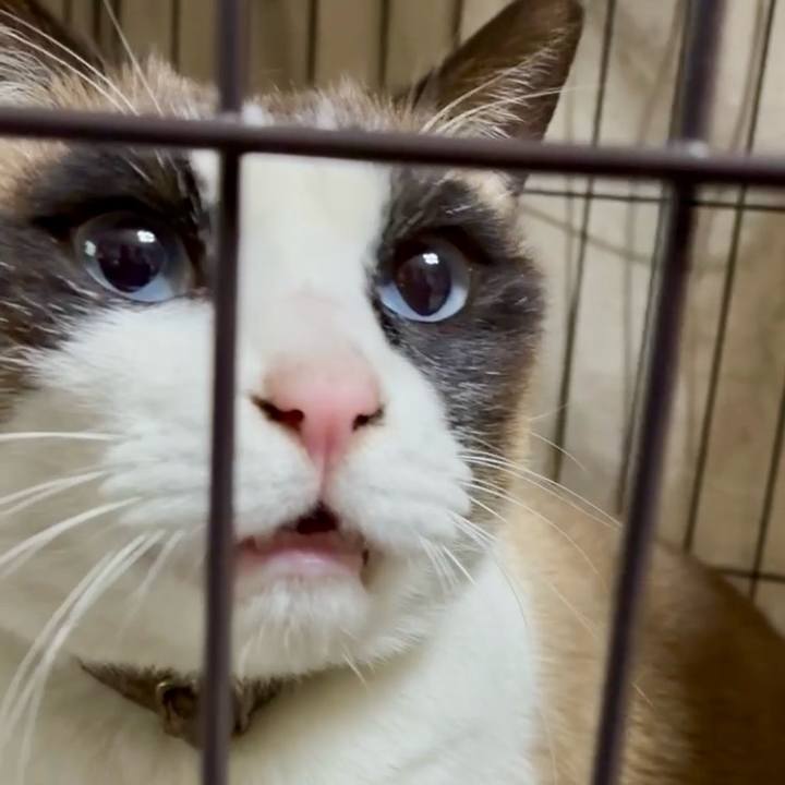 Ac3c6bb0 c99b 49e9 8cd4 ea9ebff6d07e 1770211083758