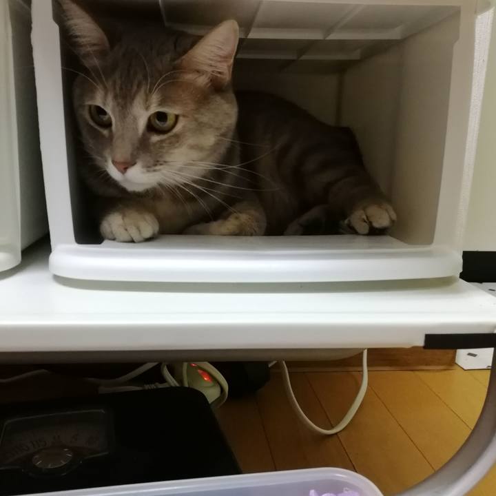 Ac3c920c 0fa3 4cb2 b8aa 08545270dba1 1514198840101