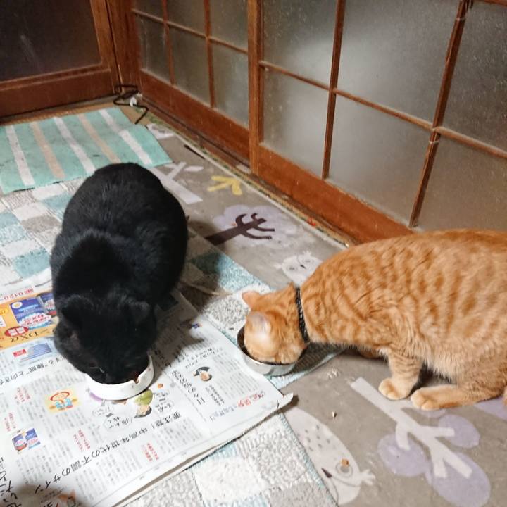 Ac3cb098 e73c 45ee b87c 08c1d72db422 1646389861028