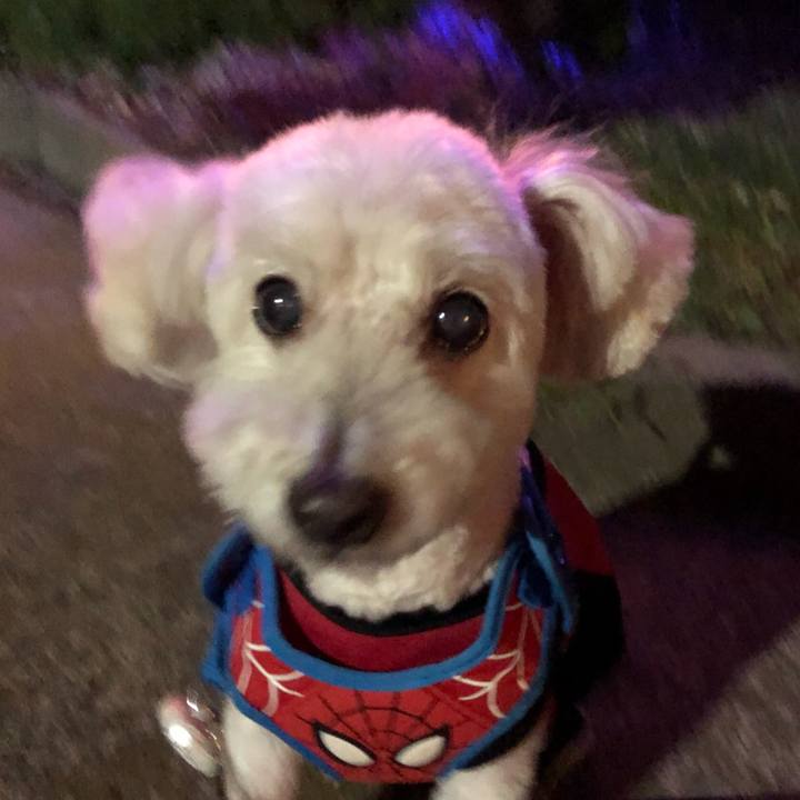 Ac3cc9b4 b219 4431 a516 00e70ca8fe57 1534690855522