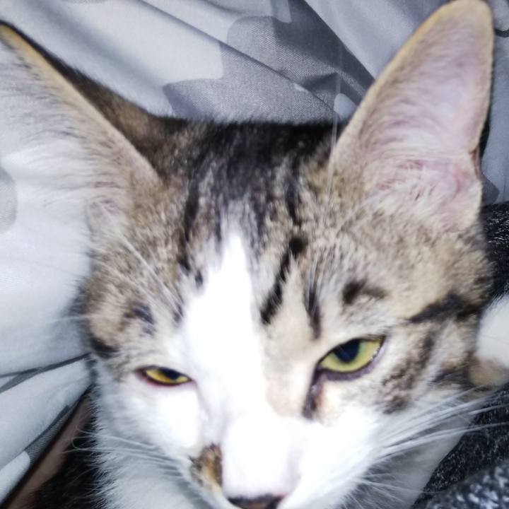 Ac3cdacc f4db 4ed2 a6fe 36b930e2a43d 1609377562807