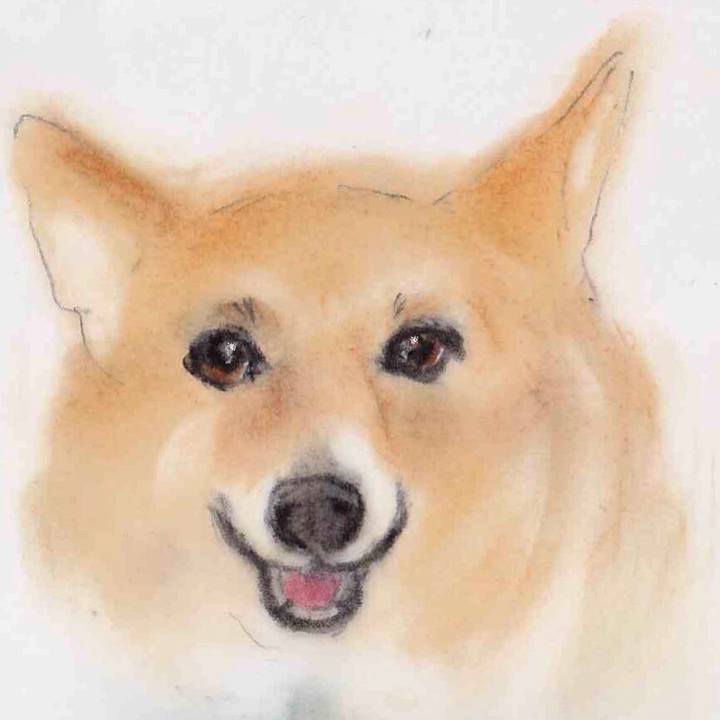 Ac3d6d86 9cef 492c b080 088a9c146ee5 1634482826298